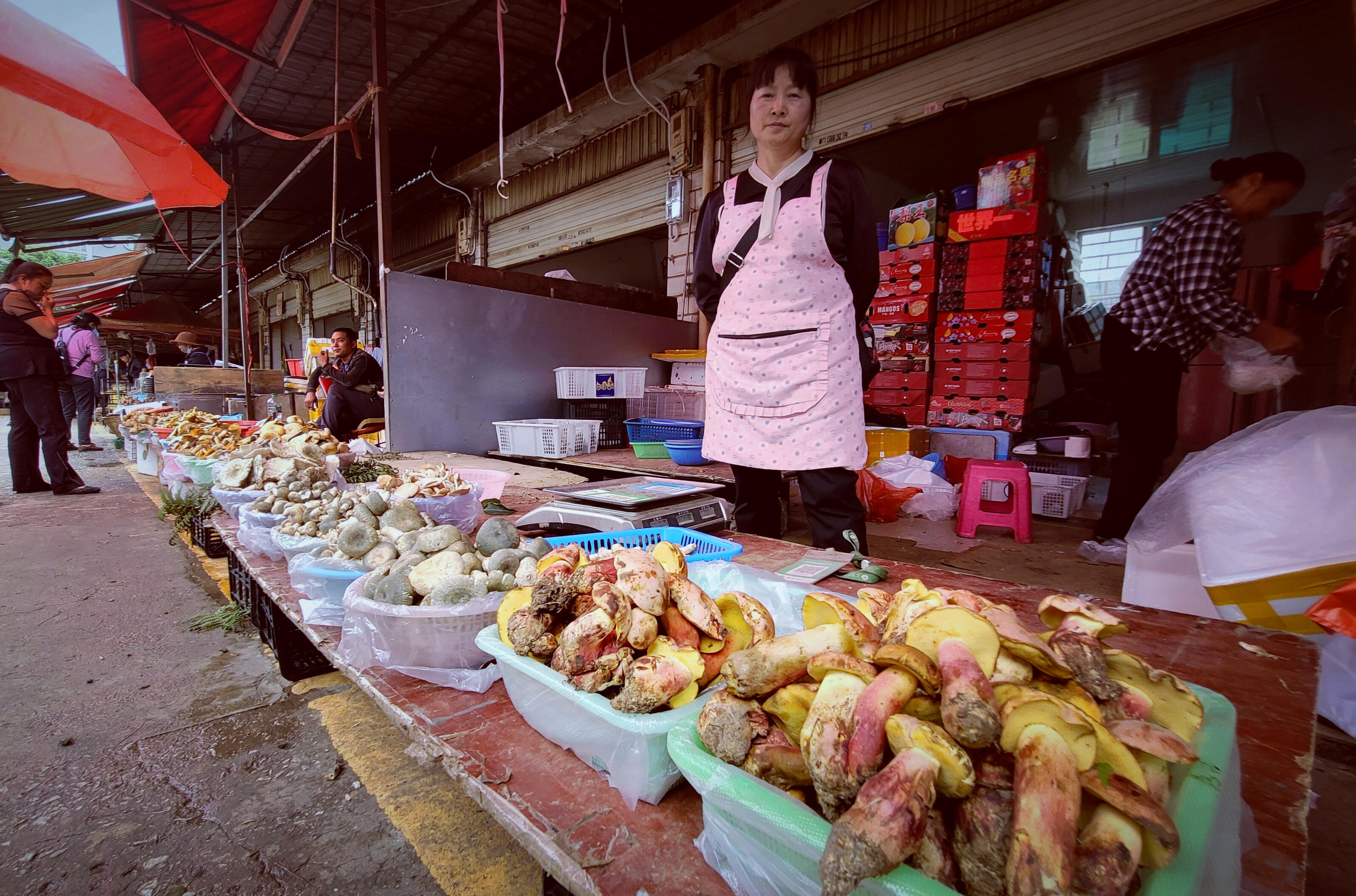The streets of Kunming are lined with endless baskets of wild mushrooms Kunming, China