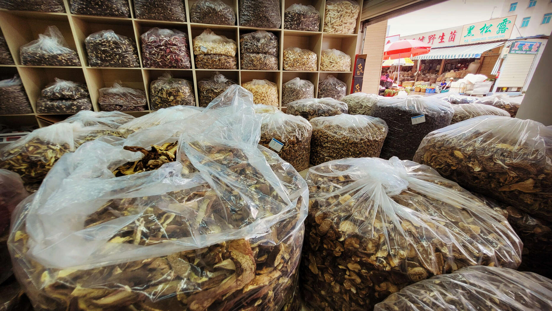China is the largest global exporter of wild mushrooms. Within this immensity lies much obscurity and danger. Over the past 10 years, Yunnan had over 10,000 mushroom poisonings