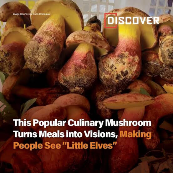 Discover Magazine